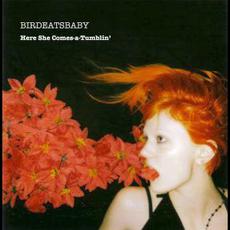 Here She Comes-a-Tumblin' mp3 Album by Birdeatsbaby
