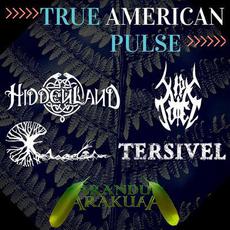 True American Pulse mp3 Compilation by Various Artists