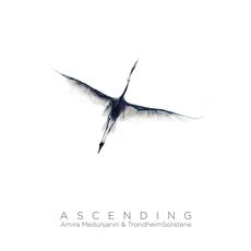 Ascending mp3 Album by Amira Medunjanin