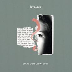 What Did I Do Wrong? mp3 Single by Dry Dudes