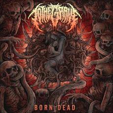 Born Dead mp3 Single by To The Grave