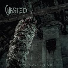 Final Convulsion mp3 Album by Wasted