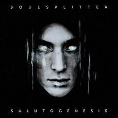 Salutogenesis mp3 Album by Soulsplitter