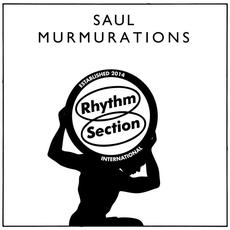 Murmurations mp3 Album by Saul