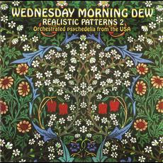 Wednesday Morning Dew: Realistic Patterns, Vol. 2 mp3 Compilation by Various Artists