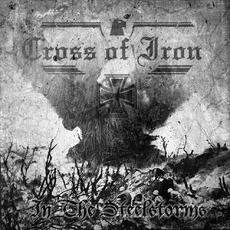In The Steelstorms mp3 Album by Cross Of Iron