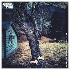 From The Roots To A Folded Sky mp3 Album by Virtual Time