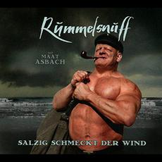 Salzig schmeckt der Wind mp3 Artist Compilation by Rummelsnuff