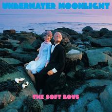 Underwater Moonlight (Re-Issue) mp3 Album by The Soft Boys
