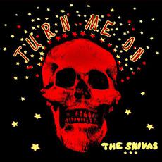 Turn Me On mp3 Album by The Shivas