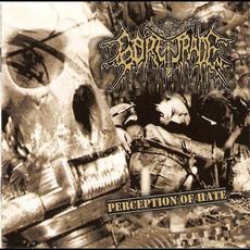 Perception of Hate mp3 Album by Goretrade