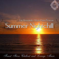 Summer Nightchill: Peter Pearson Meets Luis Hermandez mp3 Compilation by Various Artists