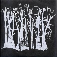 Wolves in the Throne Room mp3 Album by Wolves In The Throne Room