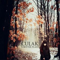 A Better Place mp3 Album by Culak