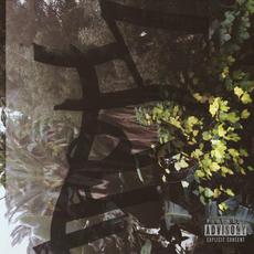 WrapTaypes.Prt.7_ mp3 Album by Knxwledge