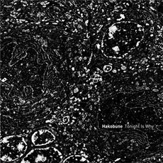 Tonight Is Why mp3 Album by Hakobune