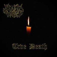 Trve Death mp3 Single by Void Eater