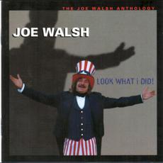 Look What I Did! The Joe Walsh Anthology mp3 Compilation by Various Artists