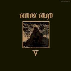 V mp3 Album by The Budos Band