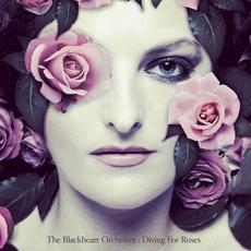 Diving For Roses mp3 Album by The Blackheart Orchestra