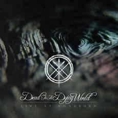 Live At Roadburn 2016 mp3 Live by Dead To A Dying World