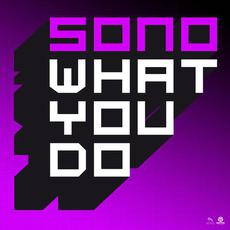 What You Do mp3 Single by Sono