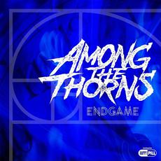 Endgame mp3 Single by Among the Thorns