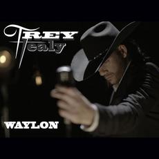 Waylon mp3 Album by Trey Healy