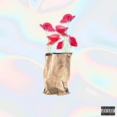 Brown Paper Bag (Maxi) mp3 Single by Yoshi Flower