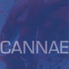 Horror mp3 Album by Cannae