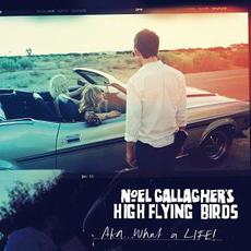 AKA... What a Life! mp3 Single by Noel Gallagher's High Flying Birds