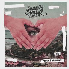 Bumps & Bruises 02 mp3 Compilation by Various Artists
