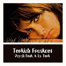 Turkish Freakout Psych Funk a la Turk mp3 Compilation by Various Artists