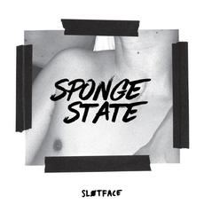 Sponge State mp3 Album by Sløtface