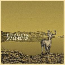 Torgeir Waldemar mp3 Album by Torgeir Waldemar