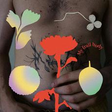 My Frail Body mp3 Album by Gundelach
