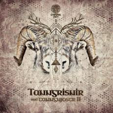 Tanngrisnir and Tanngnjostr II mp3 Compilation by Various Artists