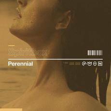 Perennial mp3 Single by Spiritbox