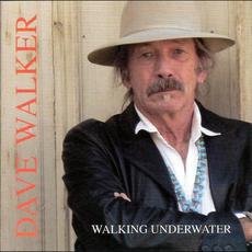 Walking Underwater mp3 Album by Dave Walker