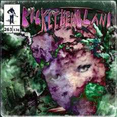 Glacier mp3 Album by Buckethead