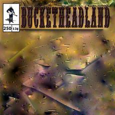 250 mp3 Album by Buckethead