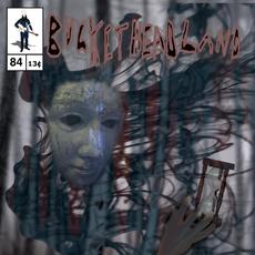 Whirlpool mp3 Album by Buckethead