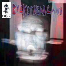 Screen Door mp3 Album by Buckethead