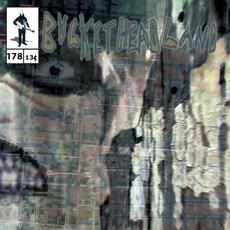 29 Days Til Halloween: Blurmwood mp3 Album by Buckethead