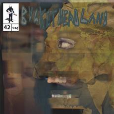 Backwards Chimney mp3 Album by Buckethead