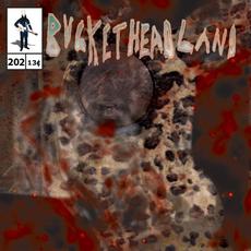 5 Days Til Halloween: Scrapbook Front mp3 Album by Buckethead