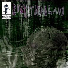 20 Days Til Halloween: Forgotten Experiment mp3 Album by Buckethead