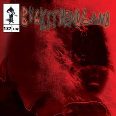 Hideous Phantasm mp3 Album by Buckethead