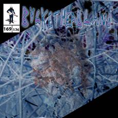 The Windowsill mp3 Album by Buckethead