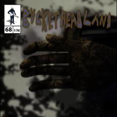 Assignment 033-03 mp3 Album by Buckethead